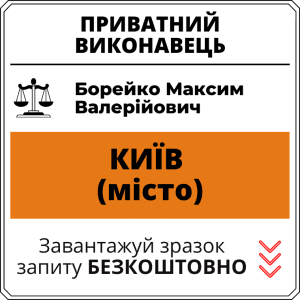 Борейко Максим Валерійович, приватний виконавець виконавчого округу міста Київ